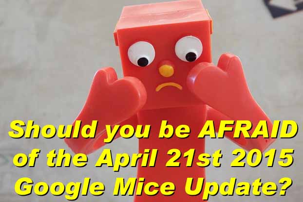 Is your business website ready for Google Mice?